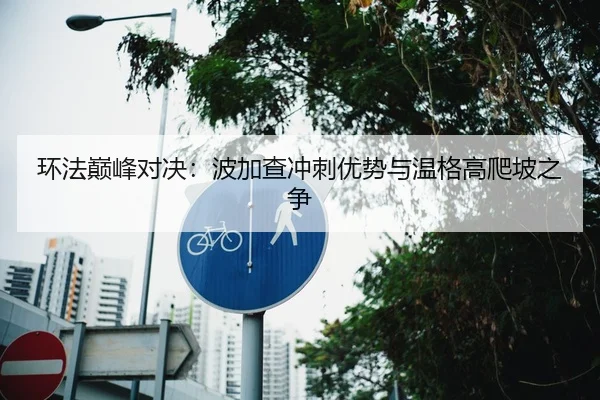 环法巅峰对决：波加查冲刺优势与温格高爬坡之争