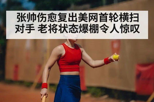 张帅伤愈复出美网首轮横扫对手 老将状态爆棚令人惊叹