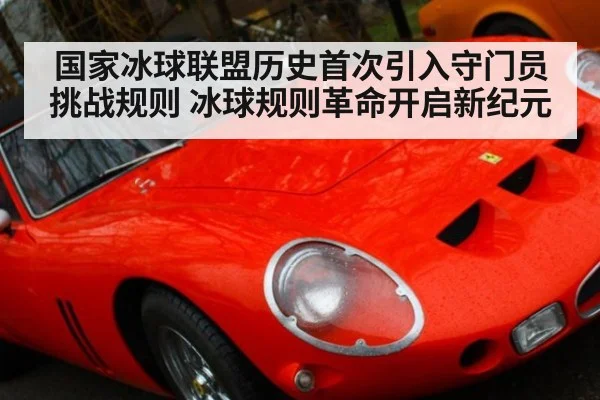 国家冰球联盟历史首次引入守门员挑战规则 冰球规则革命开启新纪元